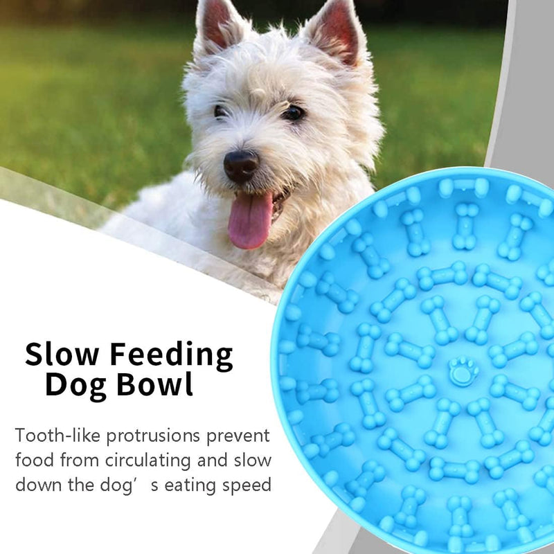 Why Your Dog Will Love It